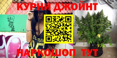 гидропоника Гай