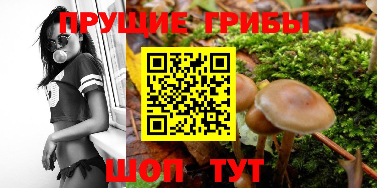 Нарткала  Галлюциногенные грибы мицелий  Вход с VPN 
